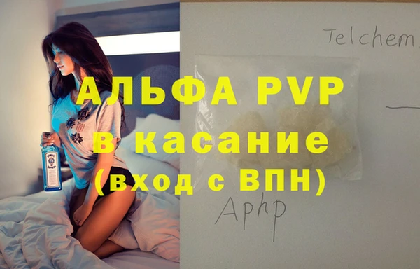 дживик Белокуриха