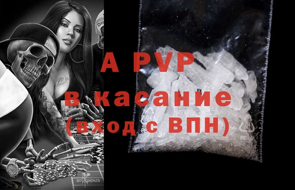 дживик Белокуриха