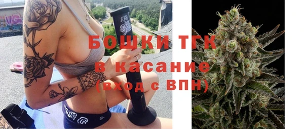 дживик Белокуриха