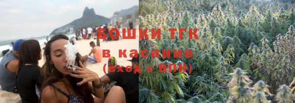 дживик Белокуриха