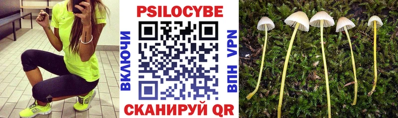 Псилоцибиновые грибы Magic Shrooms  Гусев 