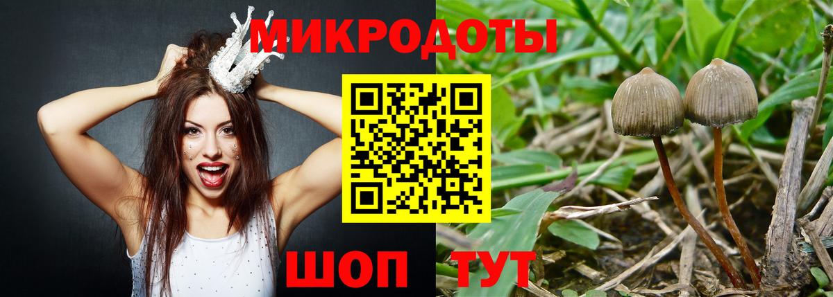 Гусев  Псилоцибиновые грибы Psilocybe  где купить   Вход с VPN 