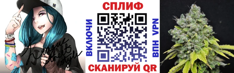 МАРИХУАНА конопля Гусев